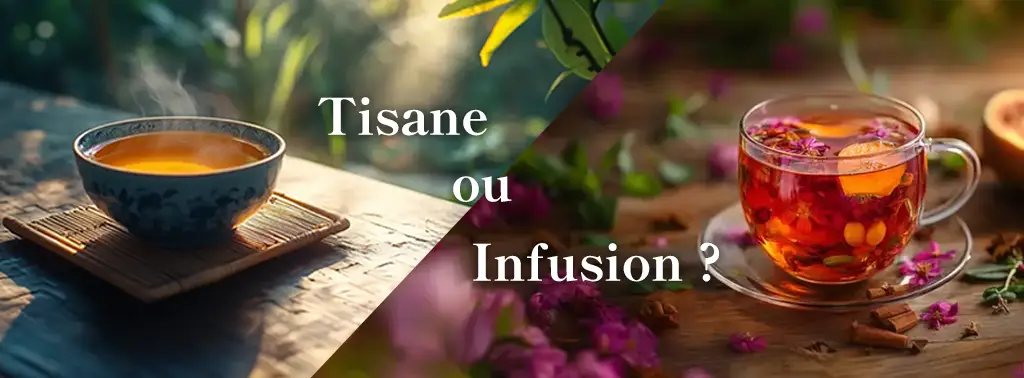 Quelle est la différence entre tisane et infusion ?